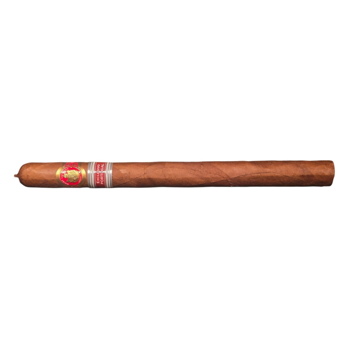 RE 2023 Portugal - Saint Luis Rey - Adamastor