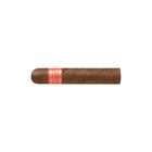 Partagas - Series D No. 5