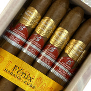 RE 2021 Phoenicia - Por Larranaga - Fenix