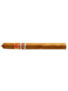 RE 2023 Países Bajos - Juan Lopez - Finos