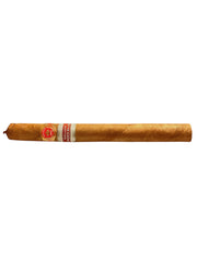 RE 2023 Países Bajos - Juan Lopez - Finos