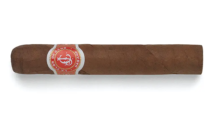 Flor de Cano - Elegidos