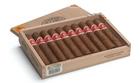 Flor de Cano - Elegidos