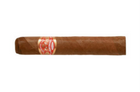 Partagas - Shorts