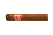 Partagas - Shorts