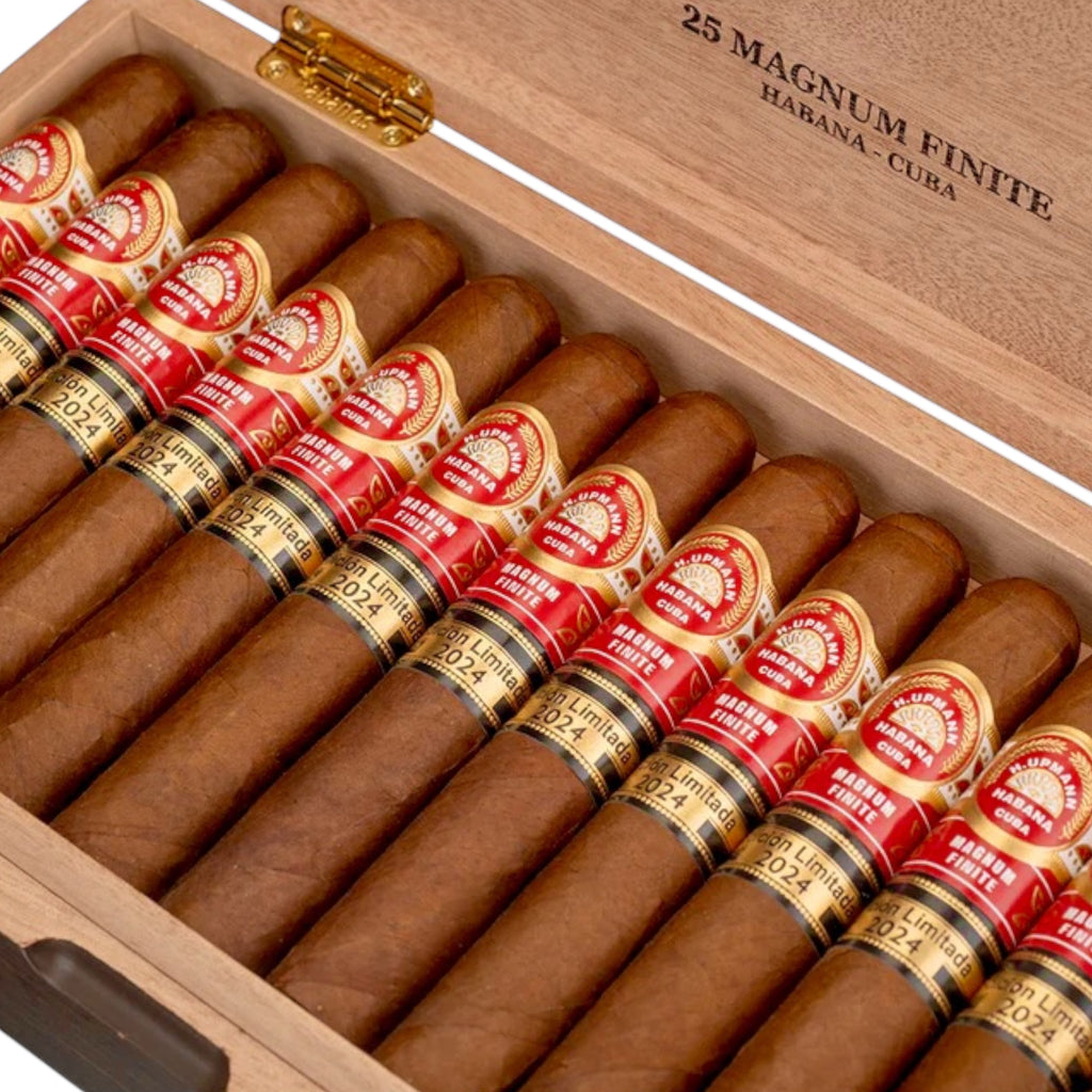 LE 2024 - H. Upmann - Magnum Finite