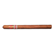 RE 2023 Portugal - Saint Luis Rey - Adamastor