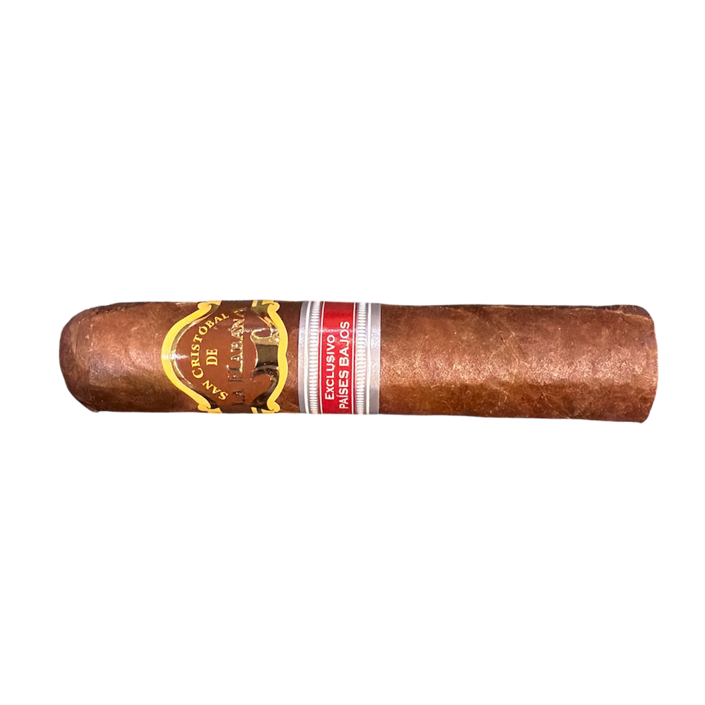 RE 2024 - Paises Bajos - San Cristóbal  - Bastiones