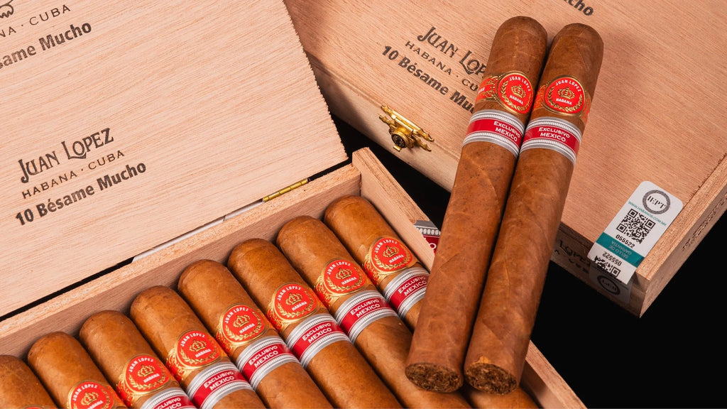 RE 2025 Mexico - Juan Lopez - Besame Mucho