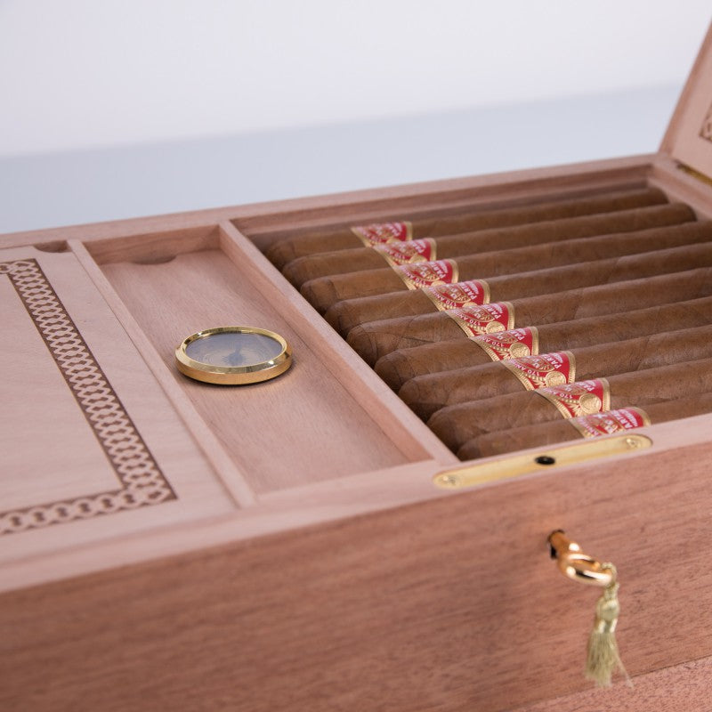 Partagas 170 Aniversario Humidor