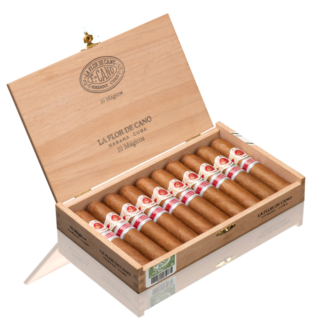 RE 2019 Spain - Flor De Cano - Magicos
