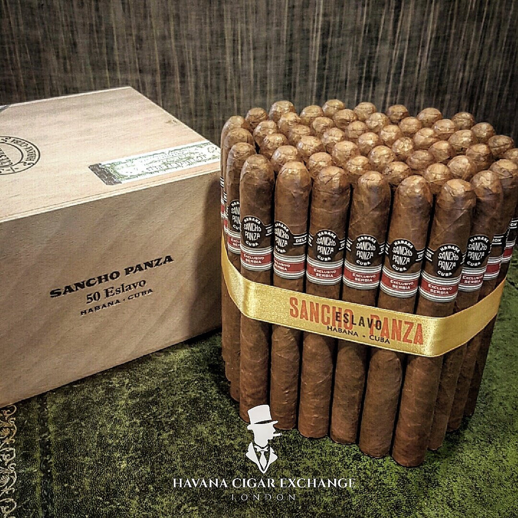 RE 2014 Serbia - Sancho Panza - Eslavo