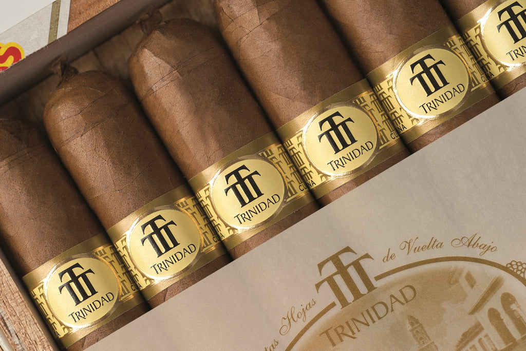 Trinidad Vigia