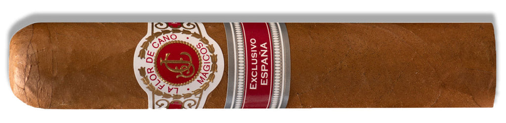 RE 2019 Spain - Flor De Cano - Magicos